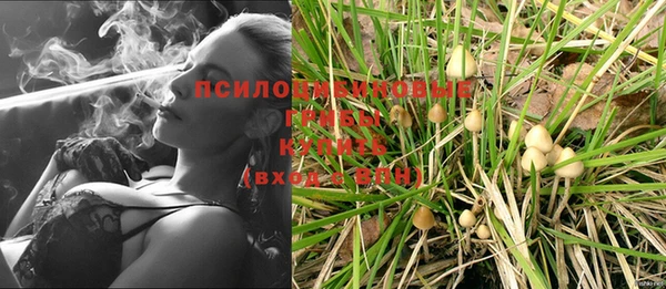 мет Абаза