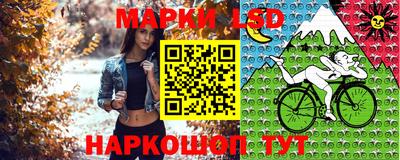 эйфоретик Гулькевичи