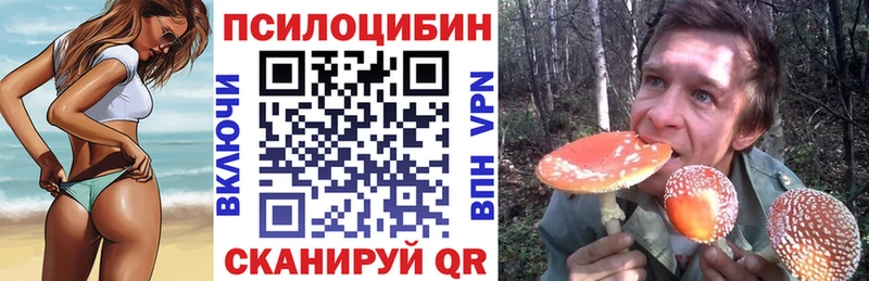 Галлюциногенные грибы мухоморы  цены   Курск 