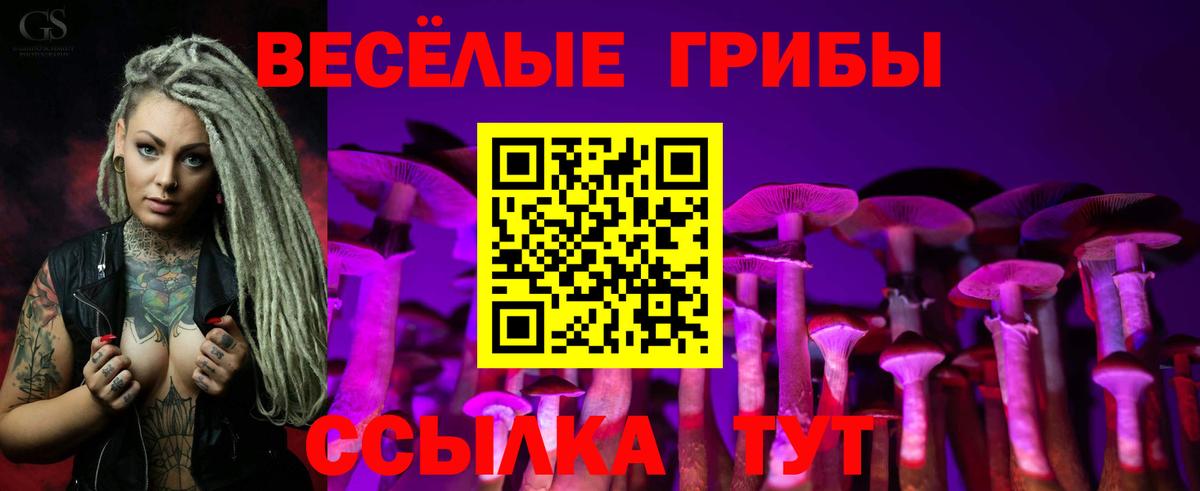 Курск  Псилоцибиновые грибы Psilocybine cubensis  Вход с VPN 
